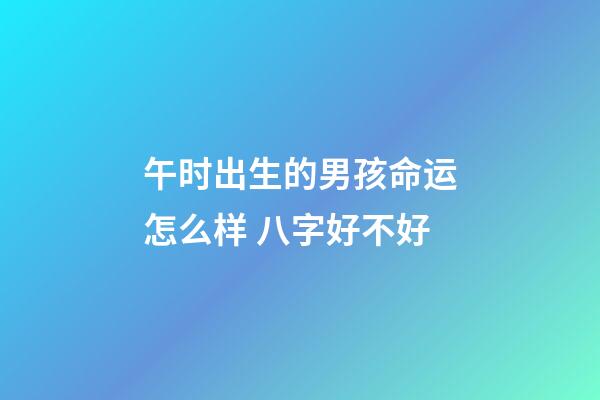 午时出生的男孩命运怎么样 八字好不好